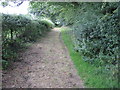 Footpath from Stroudwood Road to Mortimers Lane