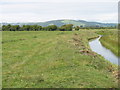 ST3850 : Allerton Moor Rhyne by David Purchase
