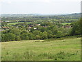 The hillside south-east of Crickham