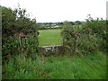 Stone stile in field boundary near Blackhall