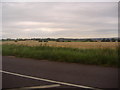 Fields by Abridge Road