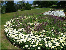 TQ1874 : Flowerbeds in Terrace Gardens, Richmond by Marathon