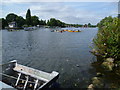 River Thames from Lower Ham Road