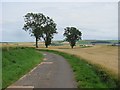 Farm road, Westerton