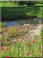 Bedale Beck, Crakehall