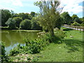 Pond opposite All Saints