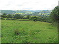 Fields north of the Skirrid