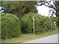 Footpath to Clopton Commericial Park