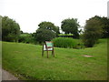 The village pond, Brearton