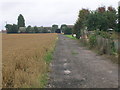 Farm track, Old Goole