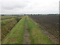 SE7922 : Farm track off New Lane by JThomas