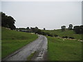 Track  to  Wood  House  Farm