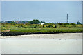 TQ5477 : Thames foreshore, Dartford Marshes by Robin Webster