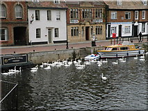 TL3171 : Swanning about on the Ouse by Keith Edkins