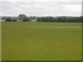 Farmland south of Amcotts