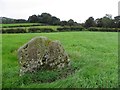 Standing stone, Sess Kilgreen