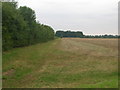 Farmland near Luddington