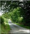 SN6056 : Lane east of Llwyn-y-Groes, Ceredigion by Roger  D Kidd