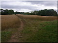SP0560 : Bridleway crosses field of wheat by Liz Stone