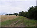 Footpath to the Mill Lane Byway to High Road