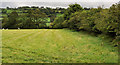 J3997 : Field and hedge, Gleno by Albert Bridge