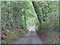 Narrow lane south of Lye Head