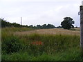 Footpath to the A1120