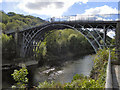 SJ6703 : Iron Bridge by David Dixon