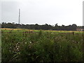 Fields and radio transmitter near Bawdsey