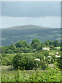 Landscape towards the Teifi valley and Elenydd moorland, Ceredigion