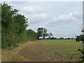 Farmland near Oldcotes