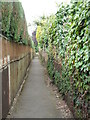 SX9291 : Path by the River Exe by Chris Allen