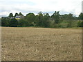 Farmland off New Road