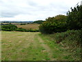 Uppington, footpath