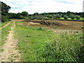 View towards Sizewell Belts, Leiston