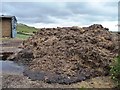 SO3078 : Muck heap at Pen y Wern farm by Christine Johnstone