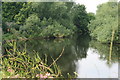 The Meandering River Dee