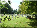 Abbotts Ann - St Mary: churchyard (1)