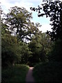 Path in Chislehurst Common