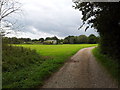 Road to farm buildings near North Park Farm