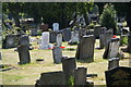 Gravestones in Merton and Sutton Cemetery