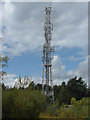 Telecommunication mast, Chobham Ridge