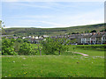 Glenavon Terrace from Coronation Road