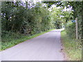 TM2153 : Snipe Farm Lane & the footpath to the B1079 Grunsdisburgh Road by Geographer