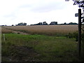 Footpath to Snipe Farm Lane