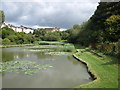 Upper reservoir at Clive Vale