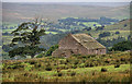 High Snappergill