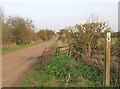 Unclassified country road to Ascote Hill