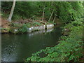 Basingstoke Canal