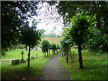 SU6345 : St Martin, Ellisfield: church path by Basher Eyre